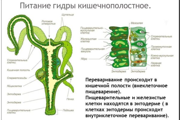 Кракен что можно купить