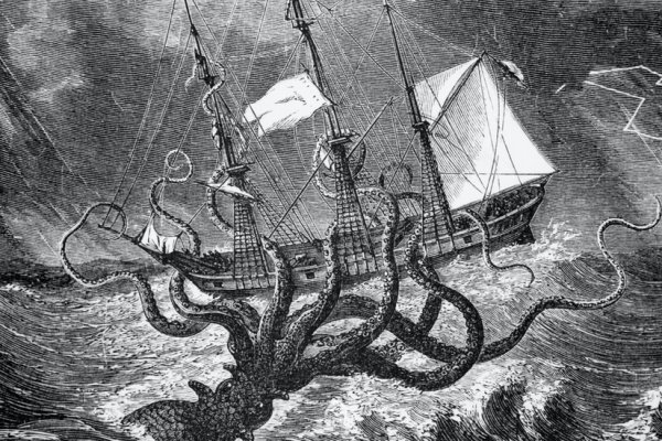 Kraken 12 at