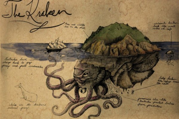 Kraken 11at