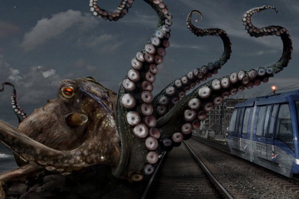 Кракен тор krakens13 at