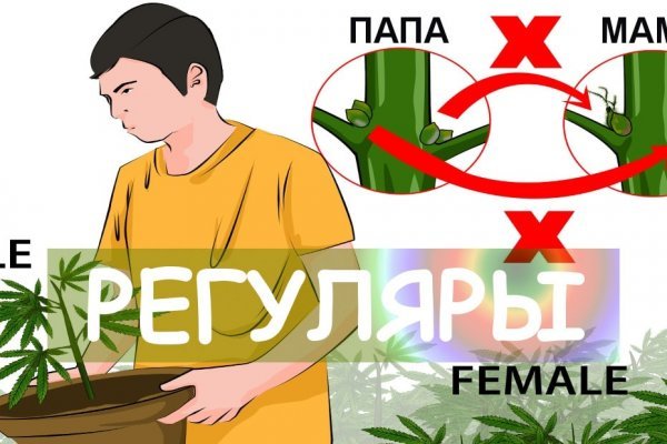 Впн для кракена