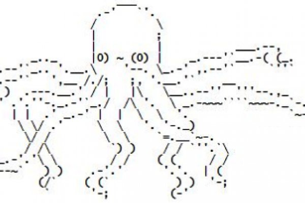 Как вывести деньги с kraken