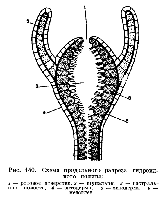 Кракен наркошоп сайт